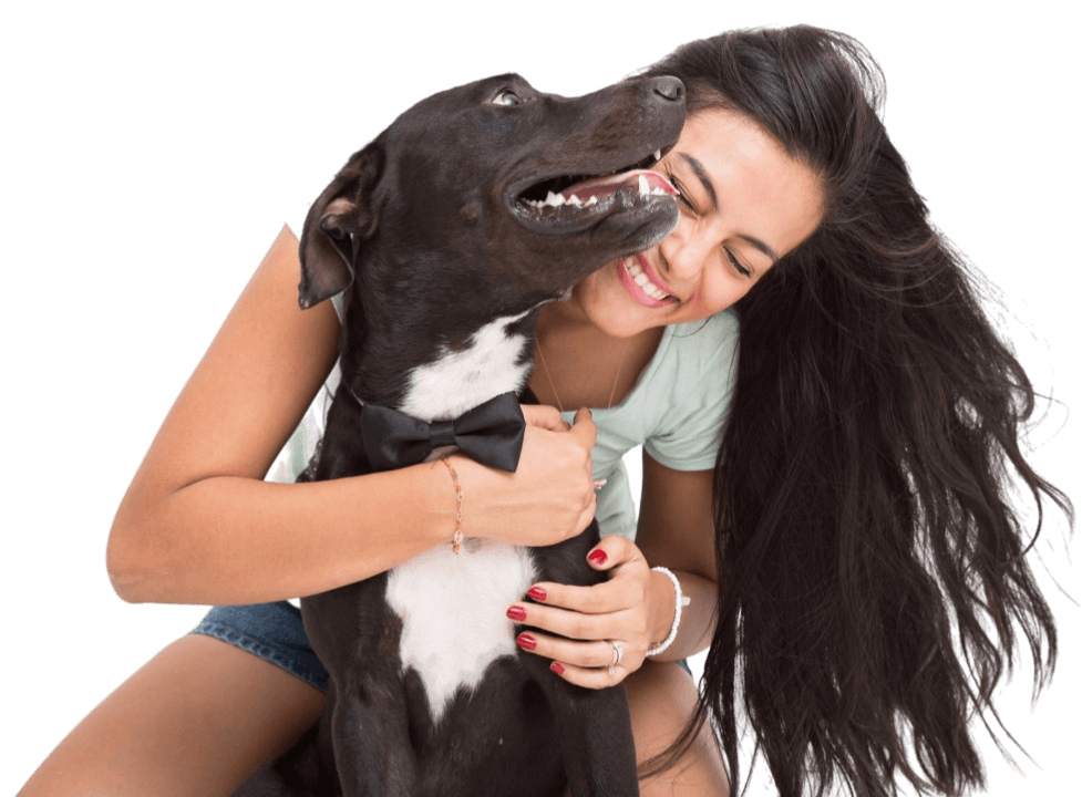 amor por tu perro v4